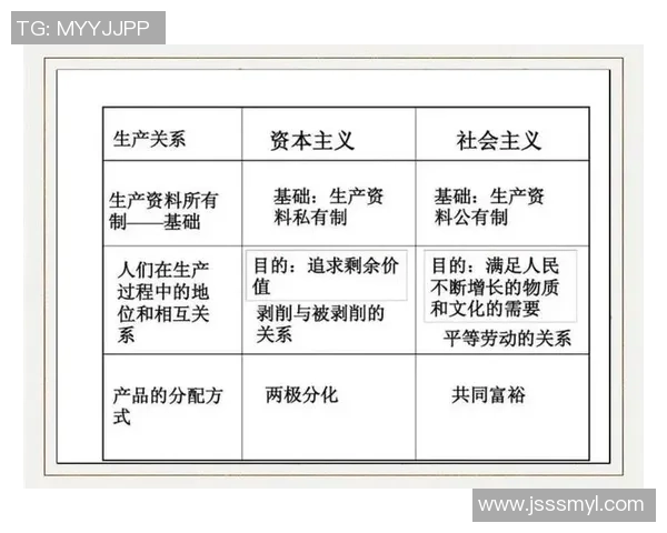 探讨与中之间的文化差异与价值观碰撞的深层次意义