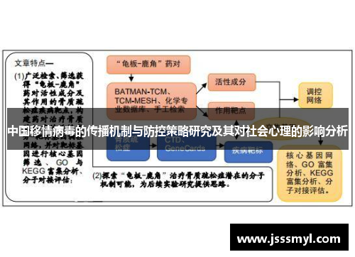 中国移情病毒的传播机制与防控策略研究及其对社会心理的影响分析